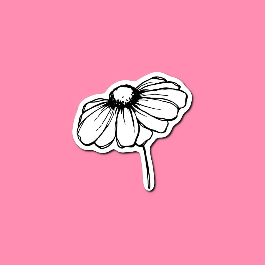 Drooping daisy sticker on pink